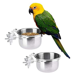 Bird Feeding and Watering